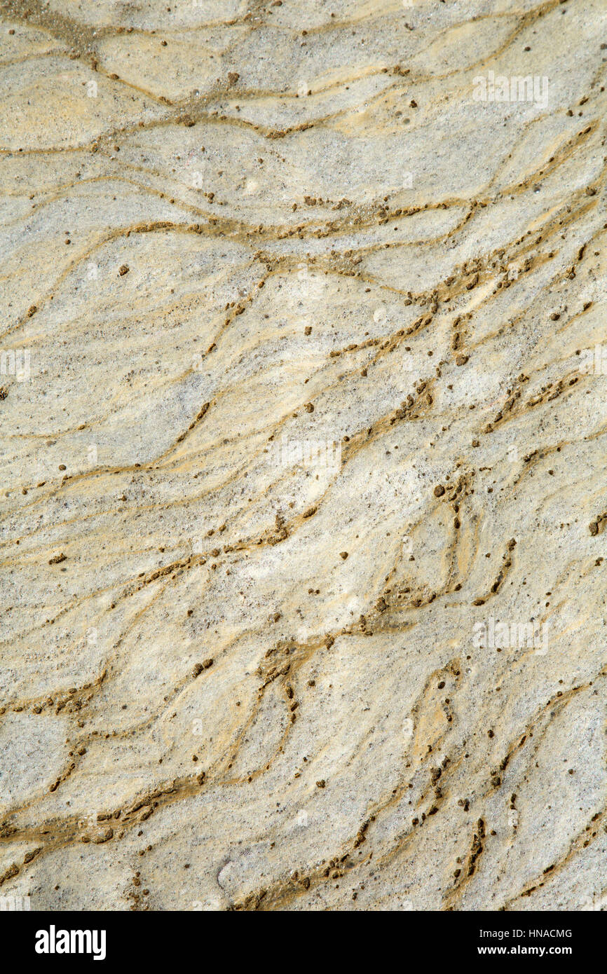Bubbles on Kiwanda Beach, Neskowin Beach State Park, Oregon Stock Photo