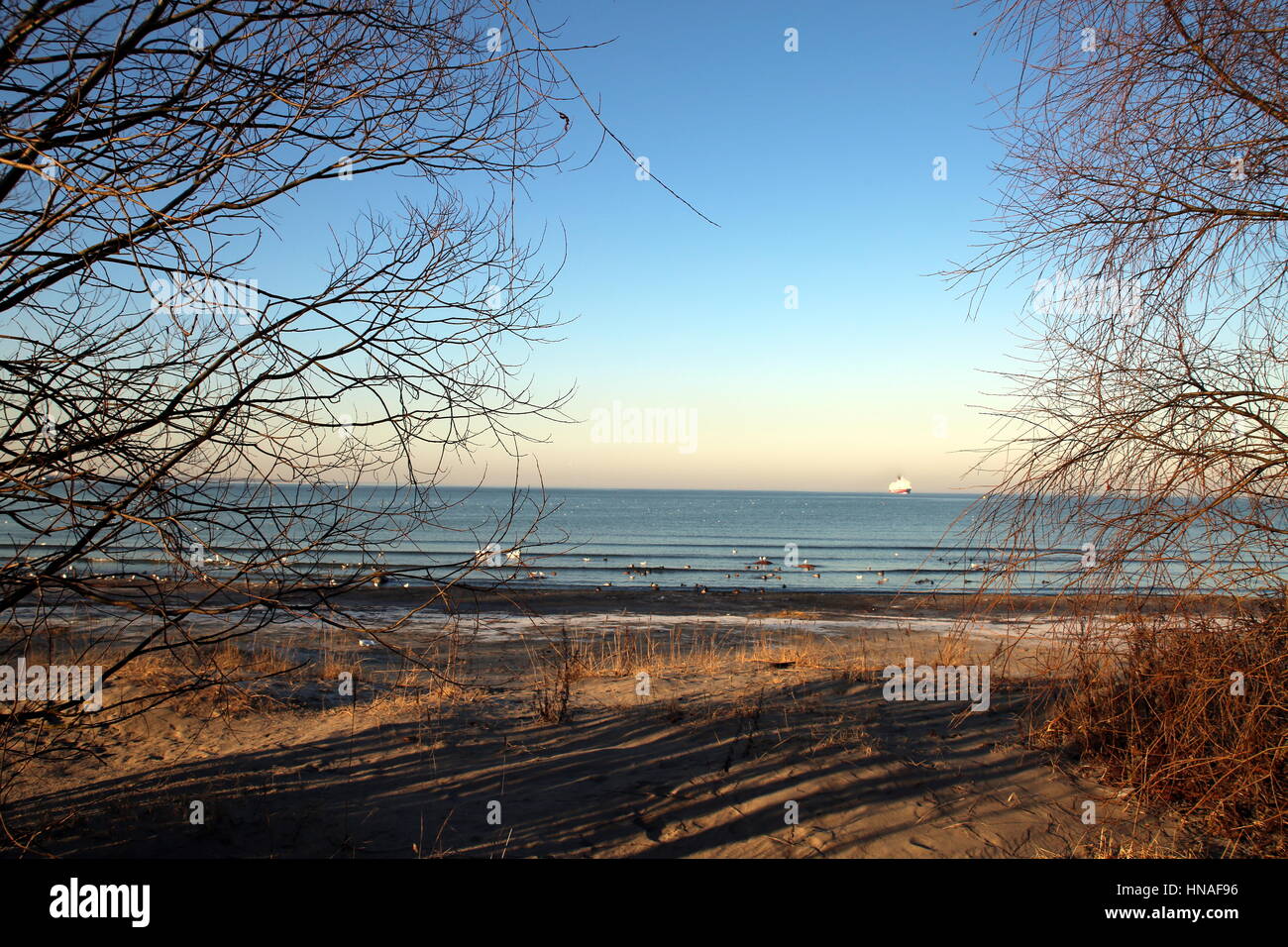 Tallinn beach promenade, Estonia Stock Photo - Alamy