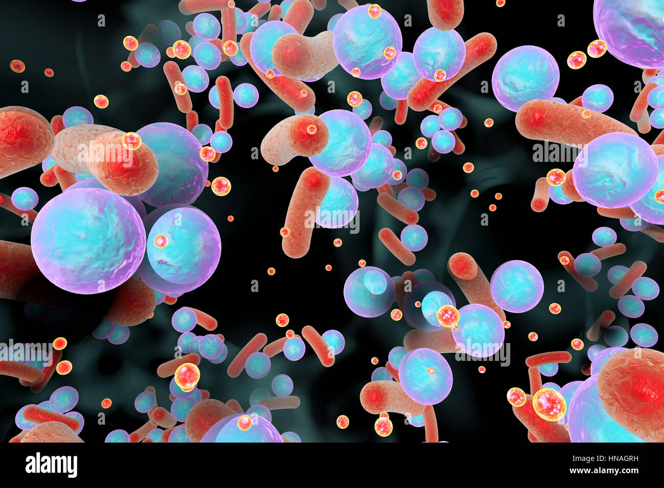Spherical Bacteria Stock Photos & Spherical Bacteria Stock Images Alamy