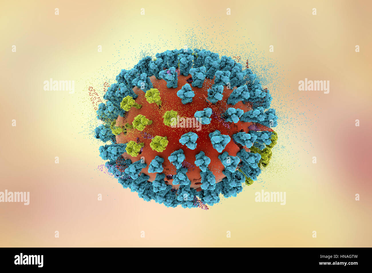 Think, that Asian avian flu understand Asian avian flu