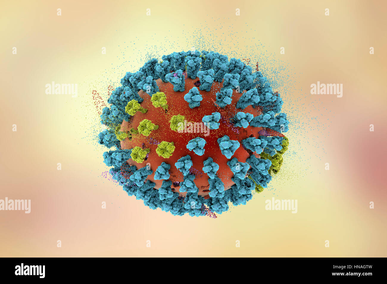 Destruction of bird flu virus, conceptual 3D illustration. This is an avian influenza H5N8 virus particle. This strain of the virus has caused disease in wild birds and poultry in Europe and Asia since June 2016. Unusually, the virus causes mortality in wild birds, which are more often silent carriers. As of February 2017 no human cases of the disease have been reported, and risk of transmission to humans is thought to be low. Stock Photo