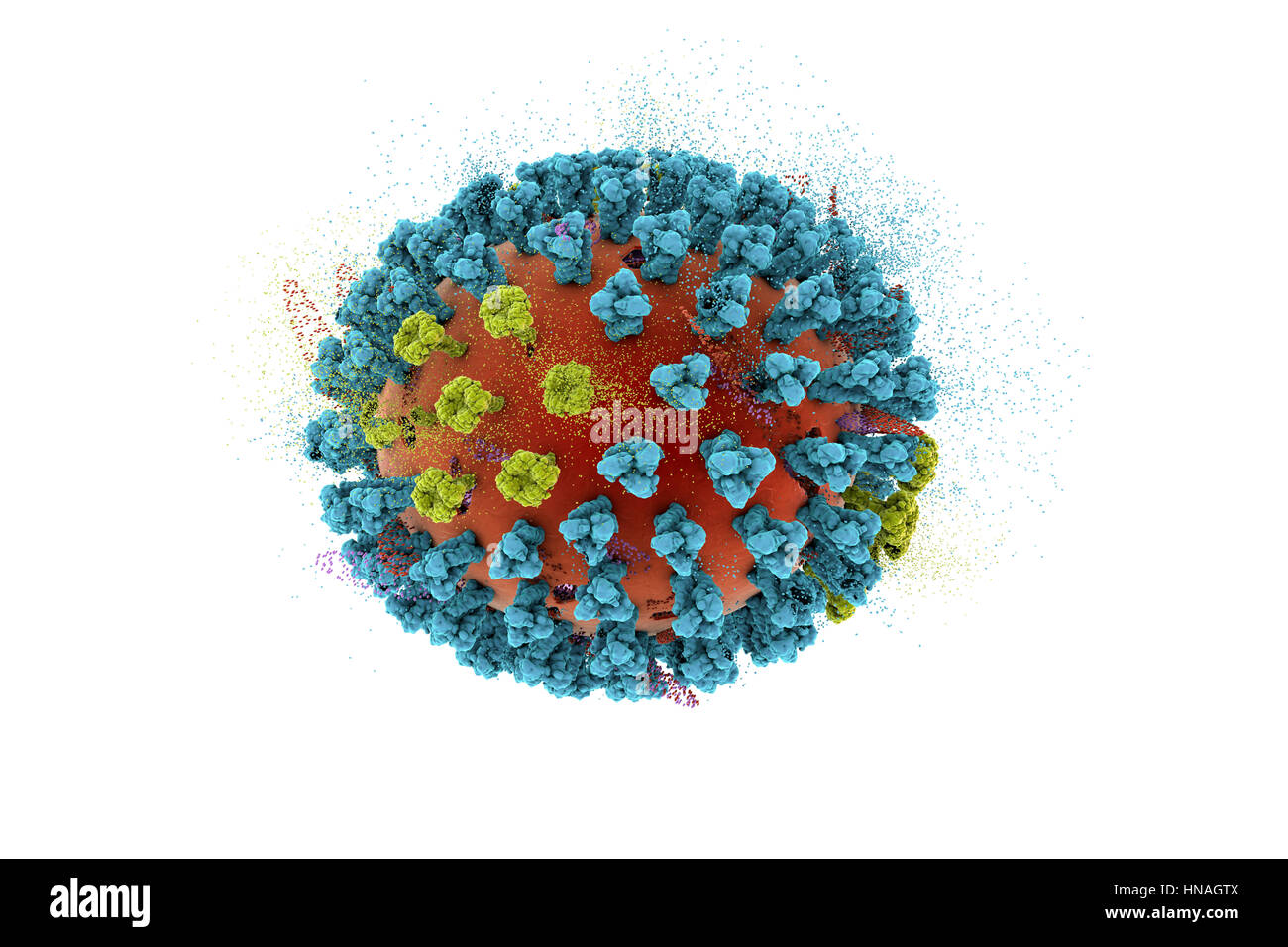 Destruction of bird flu virus, conceptual 3D illustration. This is an avian influenza H5N8 virus particle. This strain of the virus has caused disease in wild birds and poultry in Europe and Asia since June 2016. Unusually, the virus causes mortality in wild birds, which are more often silent carriers. As of February 2017 no human cases of the disease have been reported, and risk of transmission to humans is thought to be low. Stock Photo