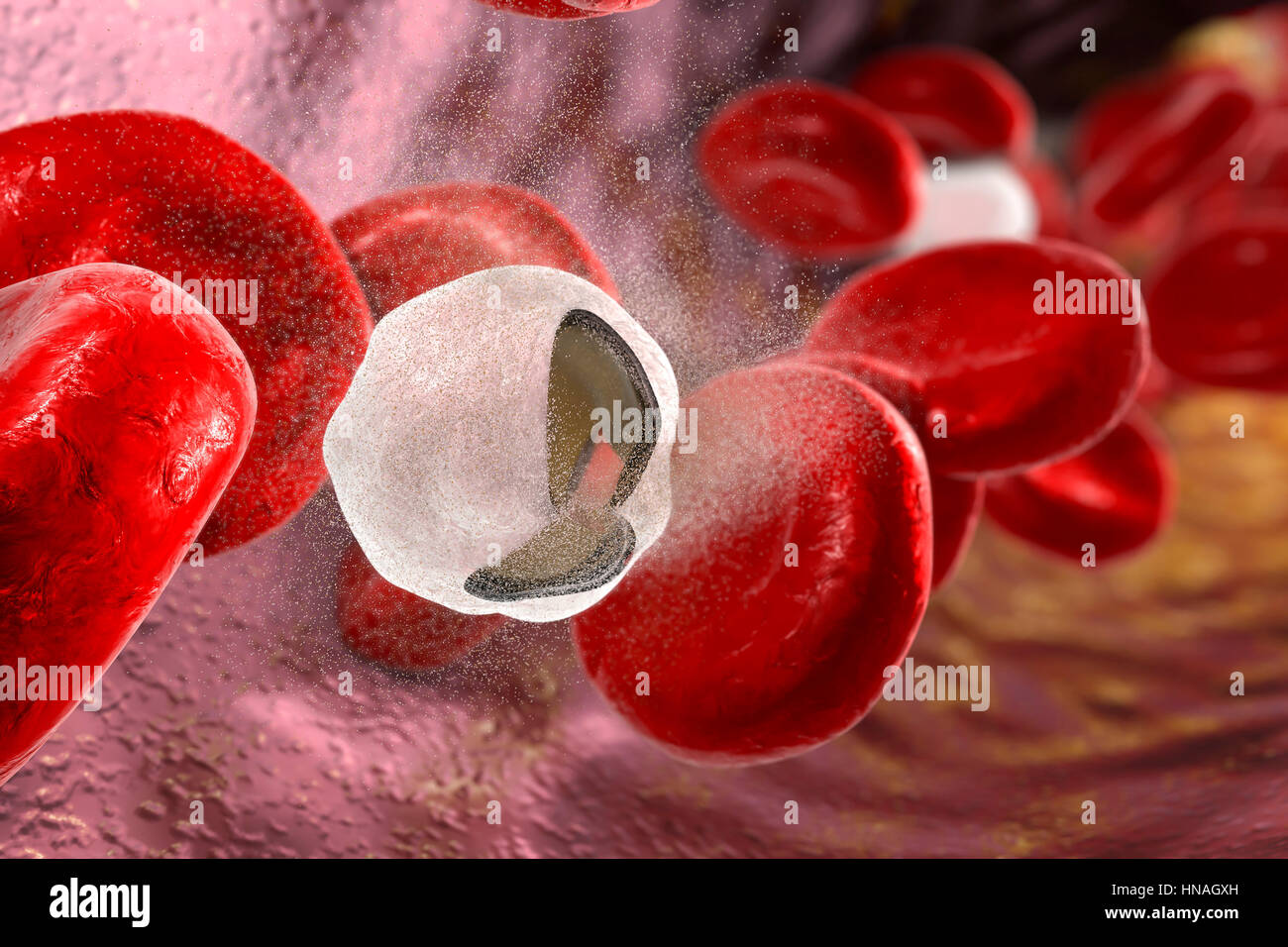 Destruction of white blood cell, illustration. Stock Photo