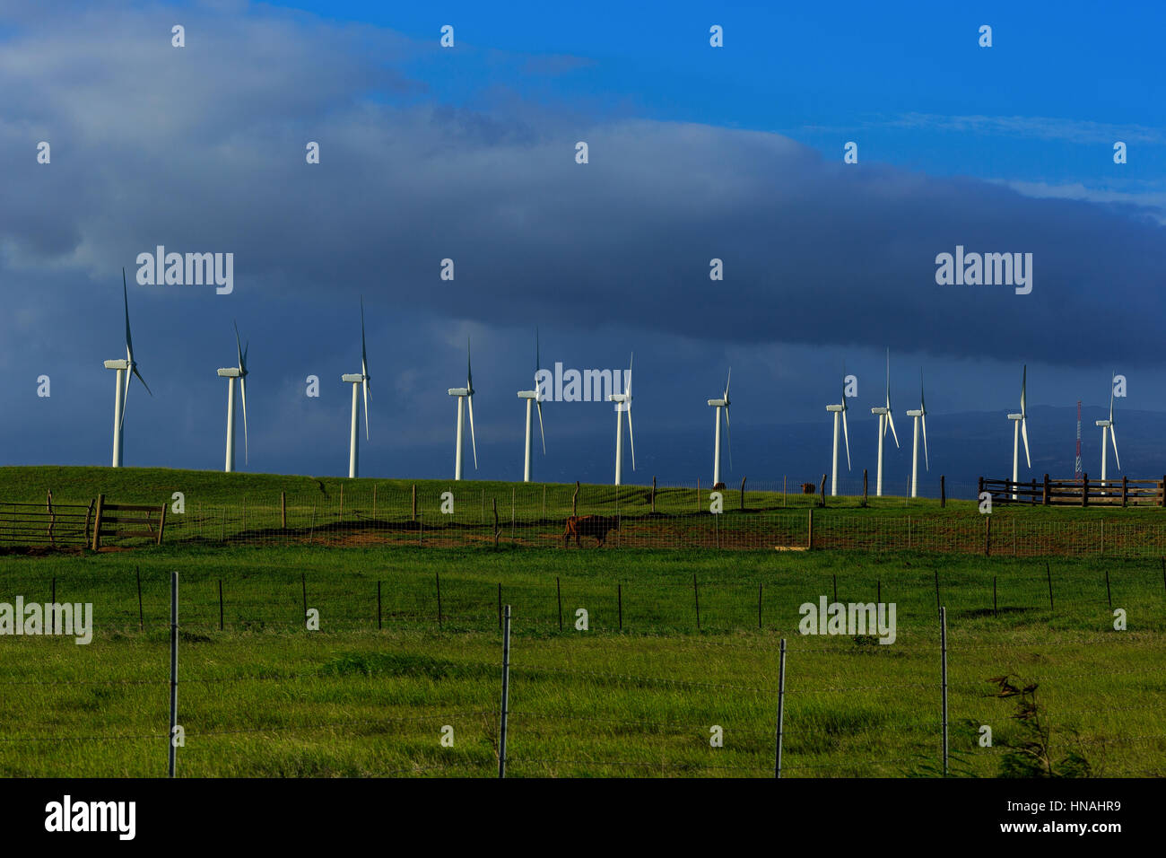 Windmills behind a cattle ranch grace the pastoral view on the road to South Point on the Big Island of Hawaii, 27 December 2016. Stock Photo