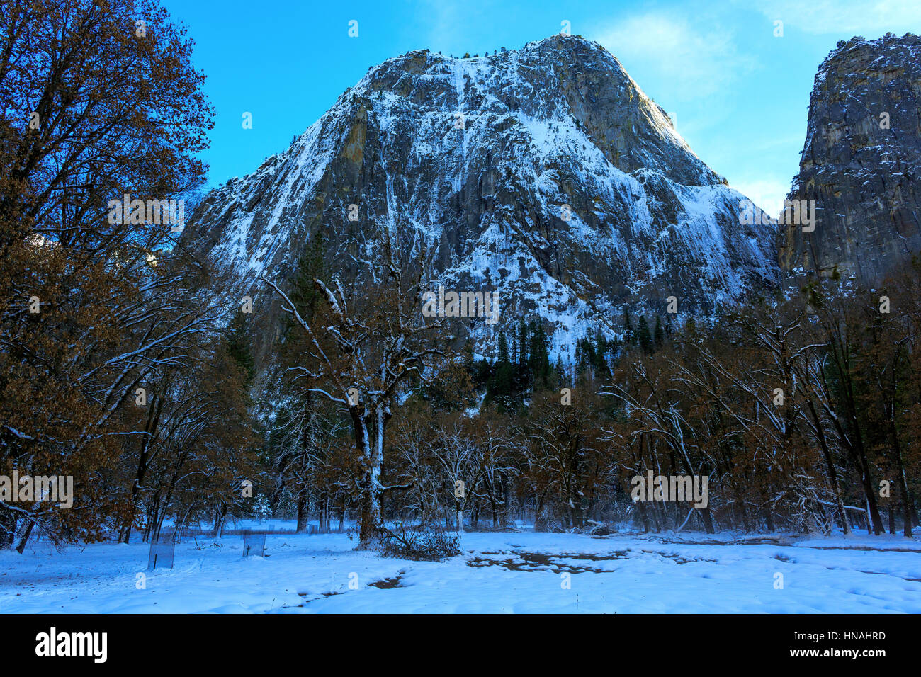 Snow, trees and frigid water fill the Yosemite Valley in Yosemite National Park, California, on 28 January 2017. Stock Photo