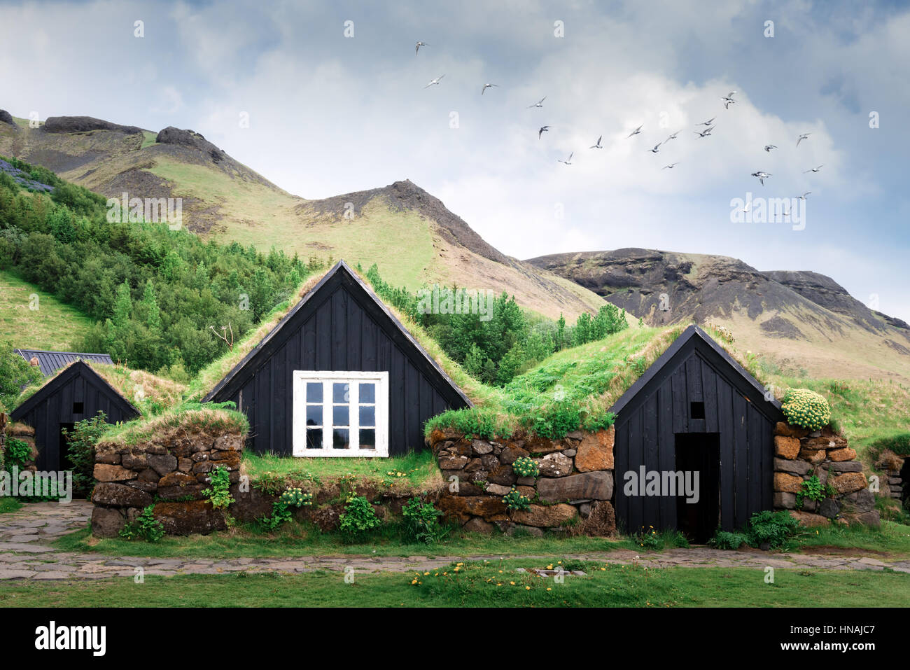 Traditional houses with grass on roof in Iceland Stock Photo