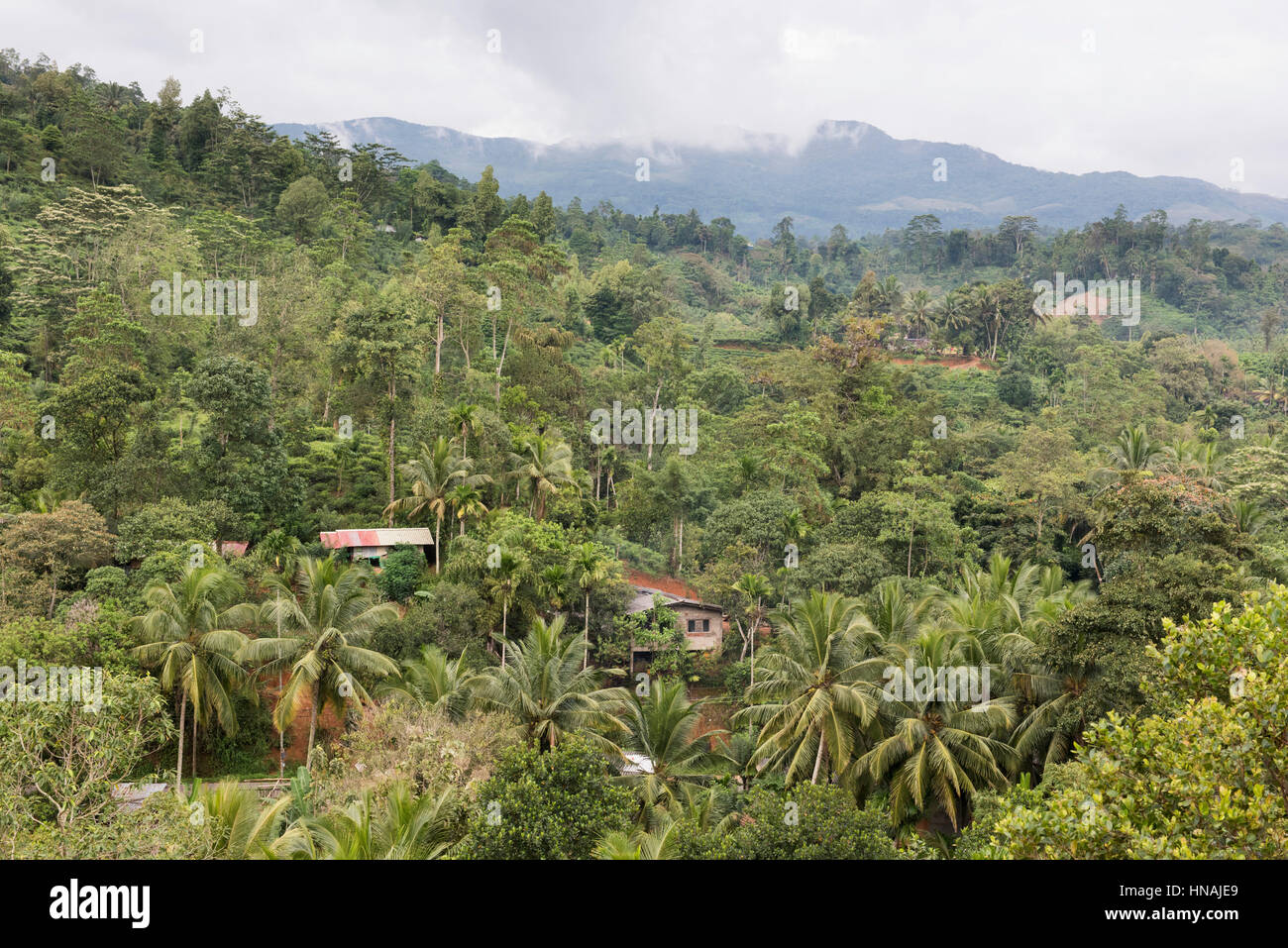 Asian scenery hi-res stock photography and images - Alamy