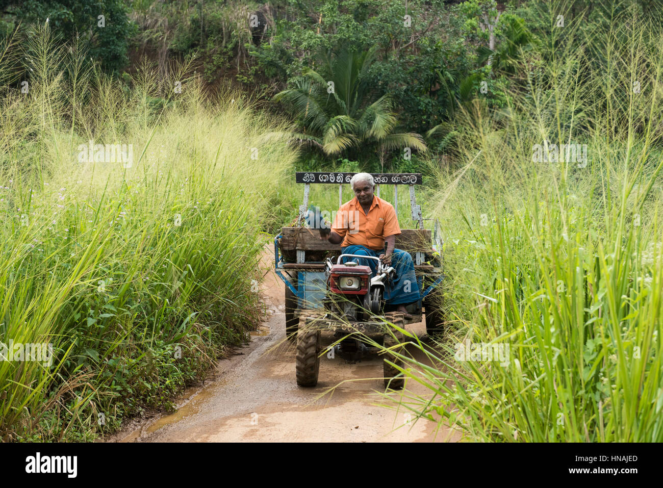 Farmer driving his tractor, Deniyaya, Sri Lanka Stock Photo Alamy