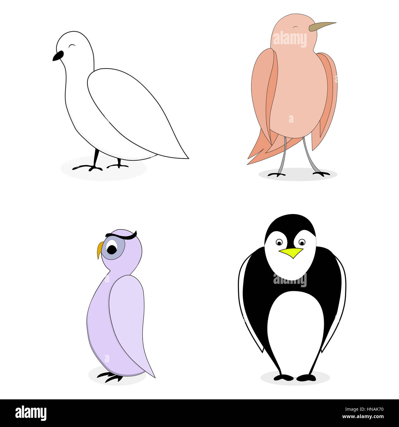 Cartoon set bird character. Owl and penguin, nightingale and dove. Vector illustration Stock Photo