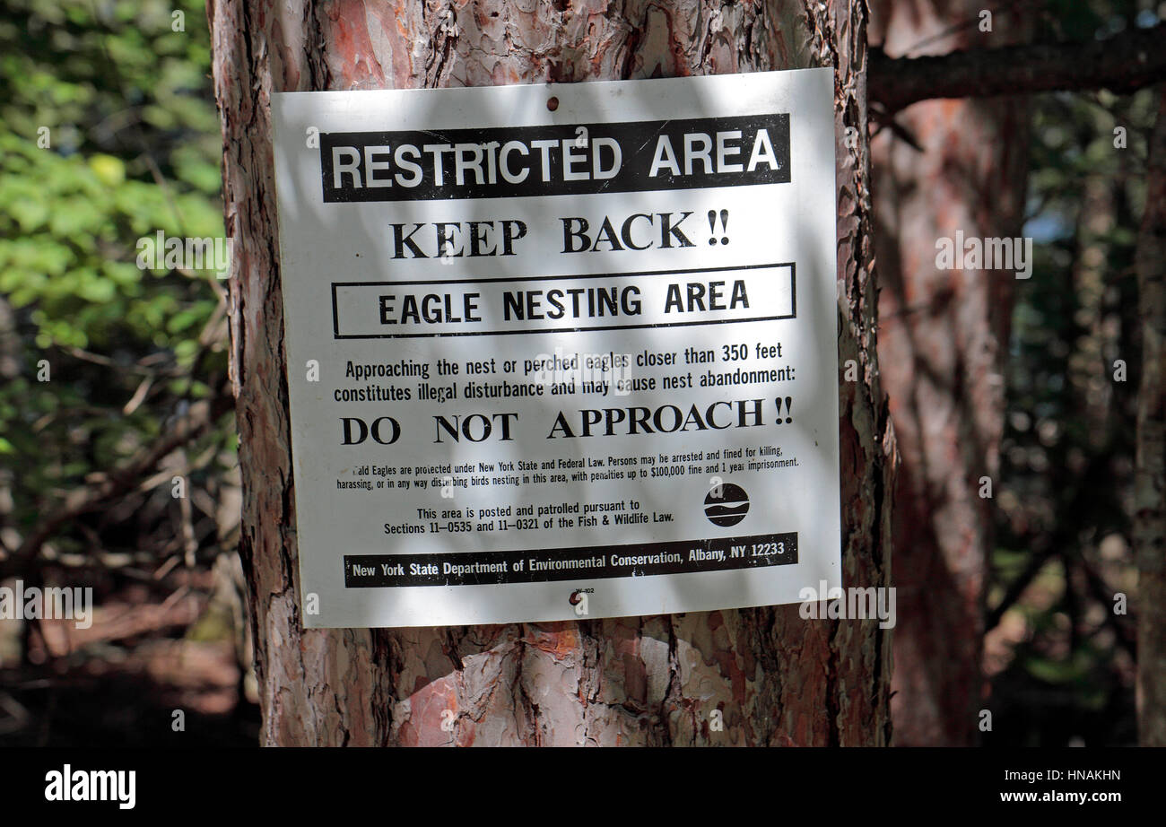 Bald eagle nesting area warning sign on a tree in New York State