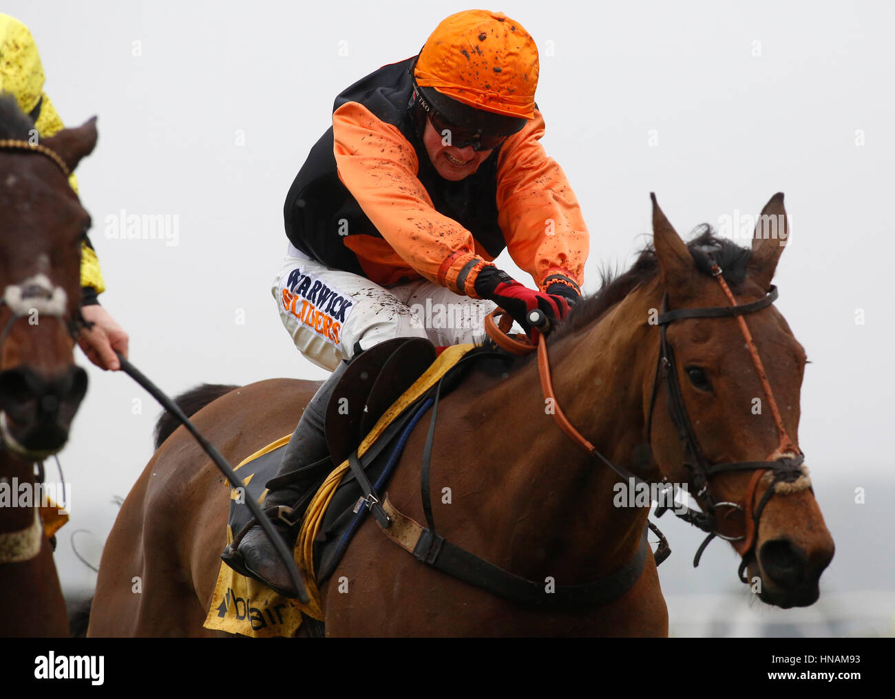 Tobefair and Treor Whelan pull away from the last flight before going on to win The Betfair Cashout Handicap Hurdle ace run during Betfair Super Saturday at Newbury Racecourse. Stock Photo