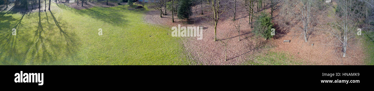 Aerial view of a park with trees and grass, leaves, green area, ecology Stock Photo