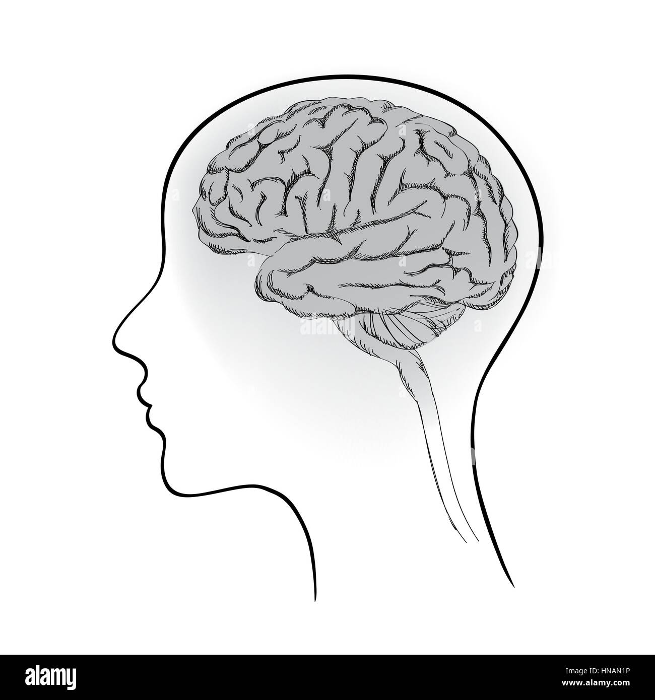 Female brain. Think icon concept. Vector sketch illustration. Stock Vector