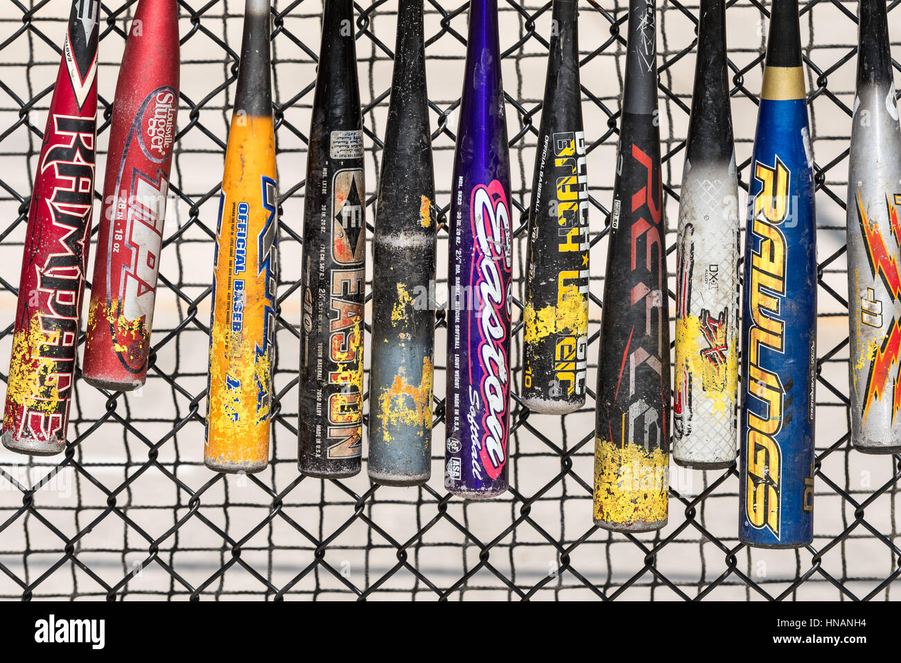 Metal baseball bats are lined up along a batting cage at a company picnic Stock Photo Alamy