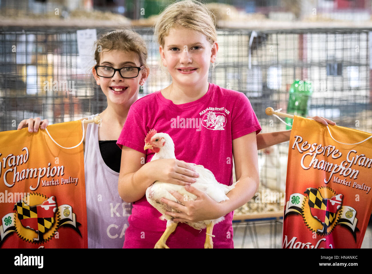Timonium, Maryland - young girls pose with their champion banners and a small chicken at the 2016 Maryland State Fair. Stock Photo