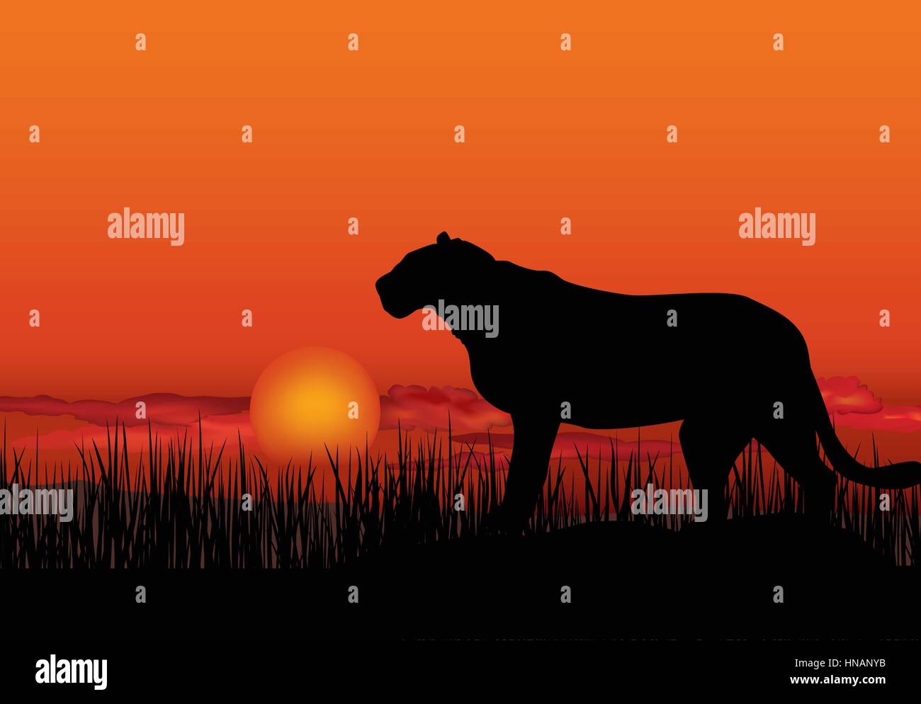 African landscape with animal silhouette. Savanna sunset background
