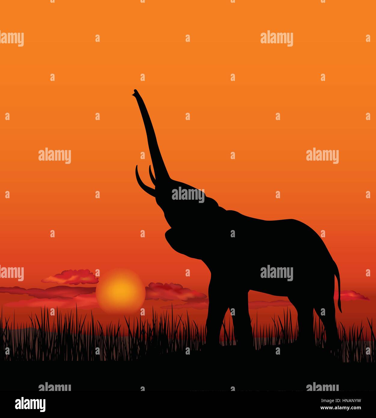 African landscape with animal silhouette. Savanna sunset background