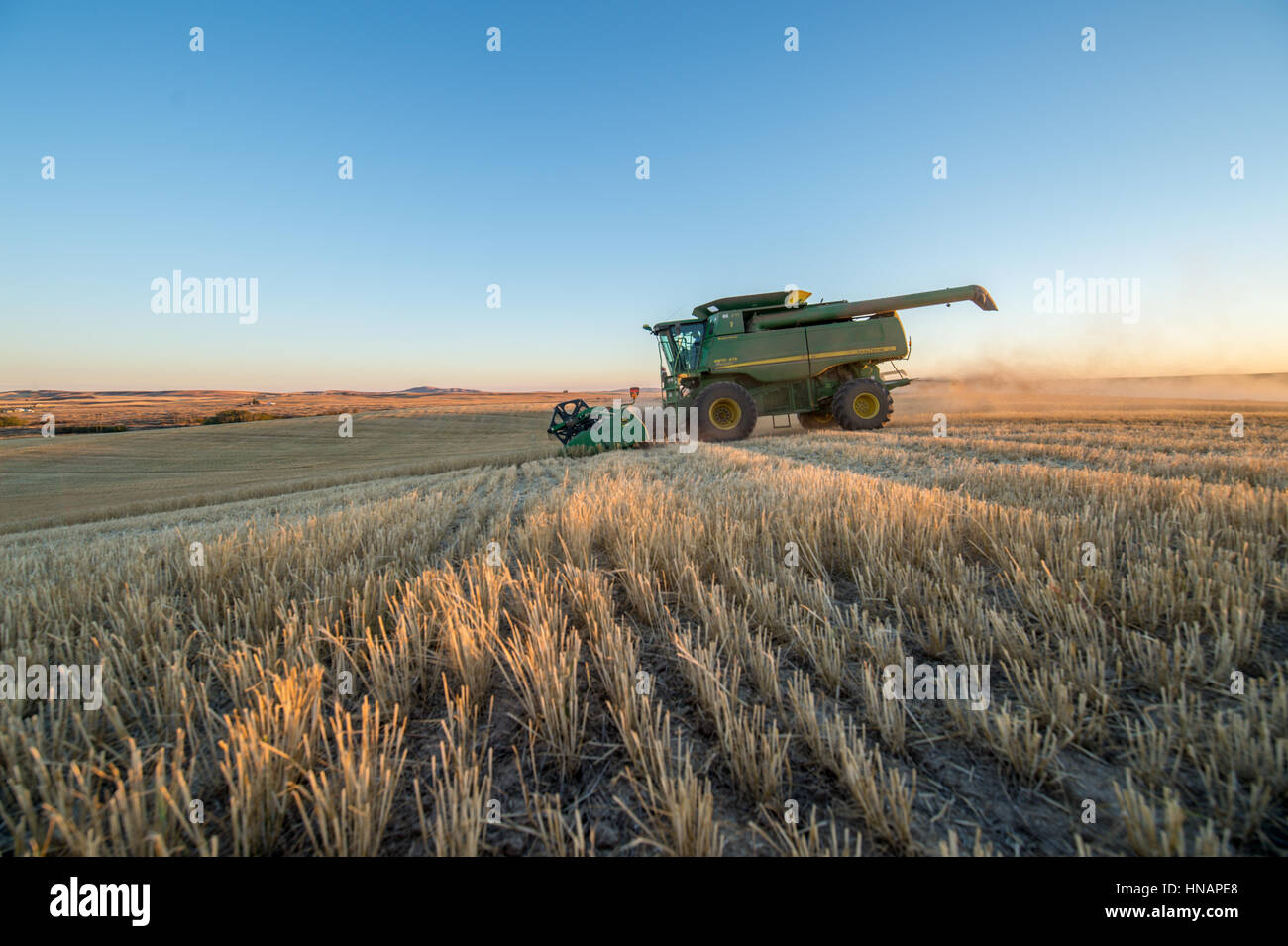 Barley harvest in Reardan, Washington. Stock Photo