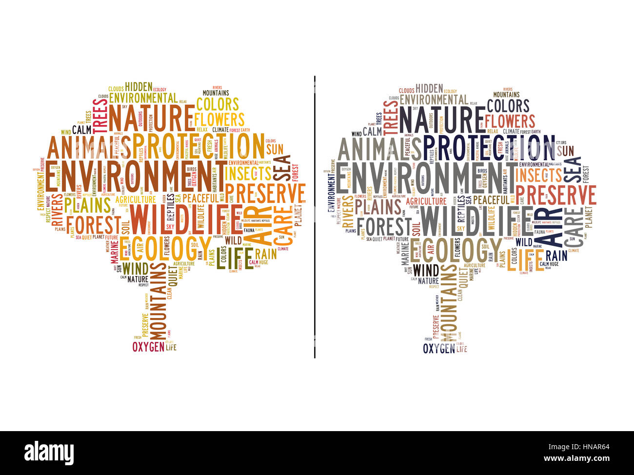 Word cloud featuring concepts referred to nature and environment Stock Photo