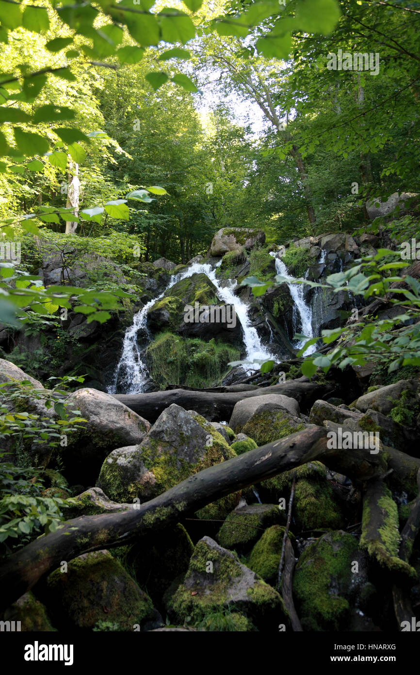 The Dondalen waterfall in woods near Gudhjem on the Baltic island of Bornholm, Denmark Stock Photo