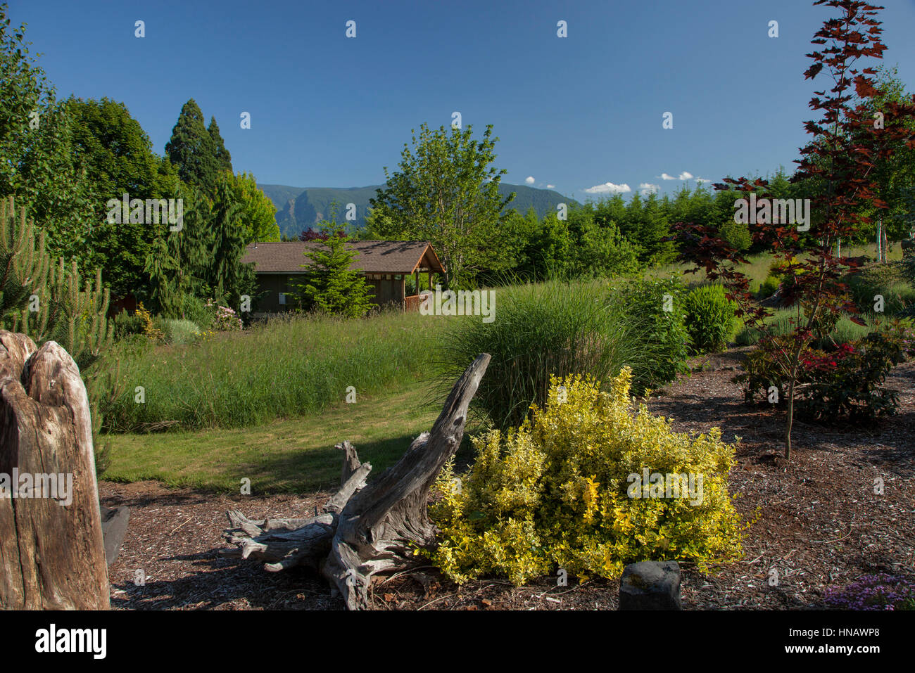 Daytime Exterior Of Luxury Cabin Sunny Day Stock Photos Daytime