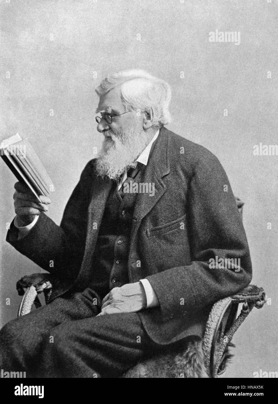 ALFRED RUSSEL WALLACE EXPLORER & NATURALIST (1890) Stock Photo