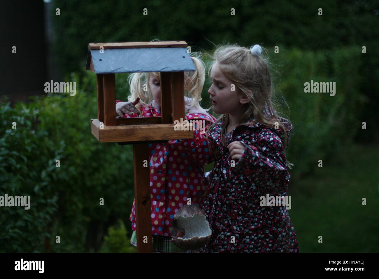 Little girls children kids feeding birds in Spring, bird table, bird