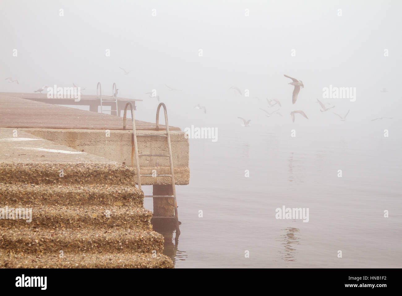 A concreate pier, old rusty stairs and seagulls in foggy day Stock Photo