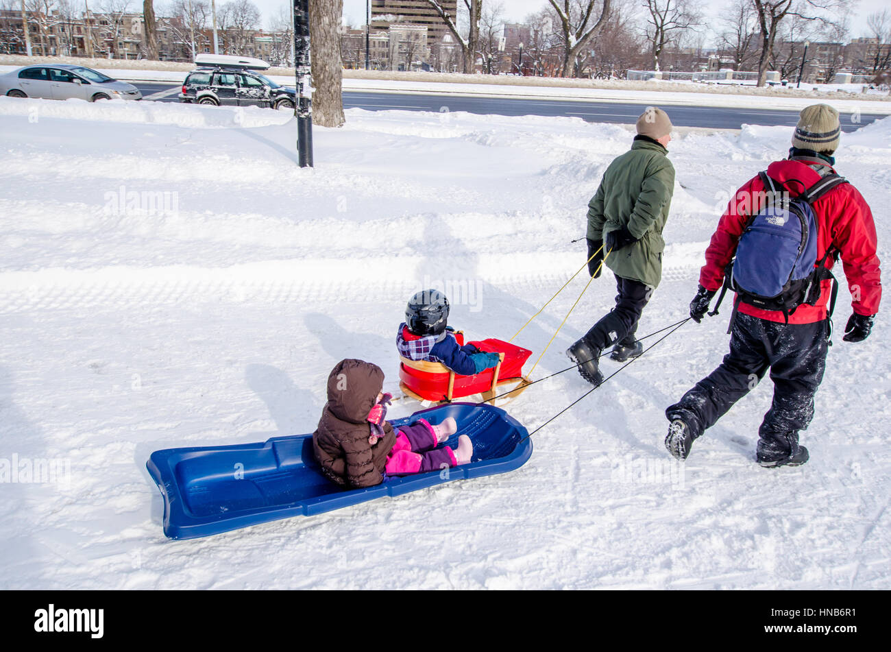 Montreal, QC, Canada 14th January 2012. Two dads pulling sled in the