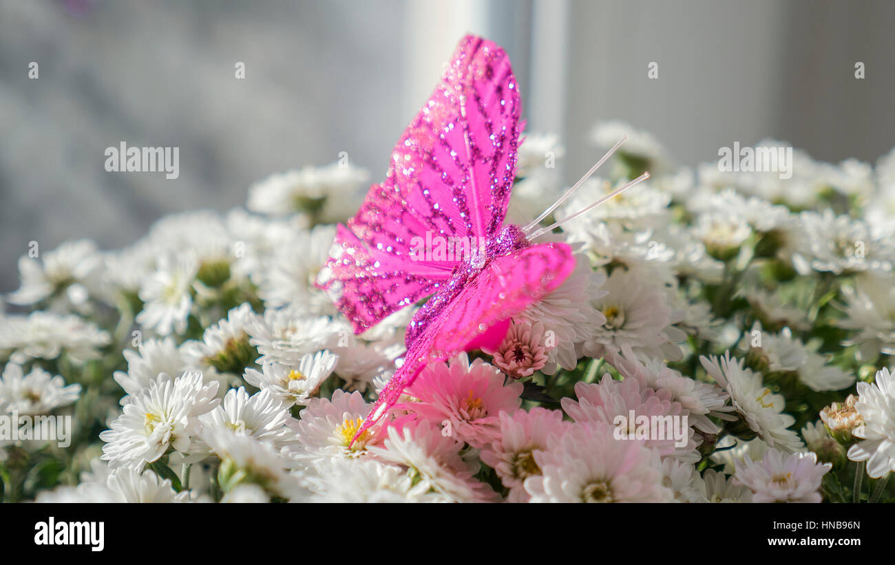 The butterfly is sitting on a bouquet of white flowers Stock Photo - Alamy