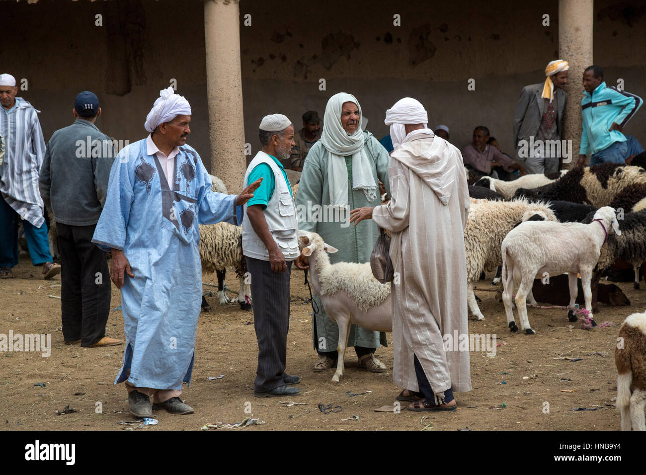 Rissani, Morocco.  Men Discussing Sale of Sheep in the Livestock Market. Stock Photo