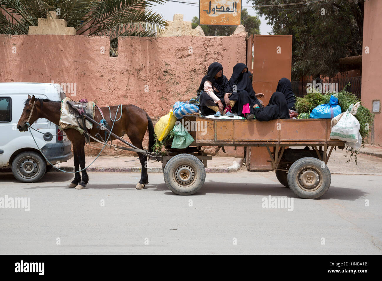 Rissani, Morocco.  Horse-drawn Cart Preparing to Take Women Shoppers Home. Stock Photo
