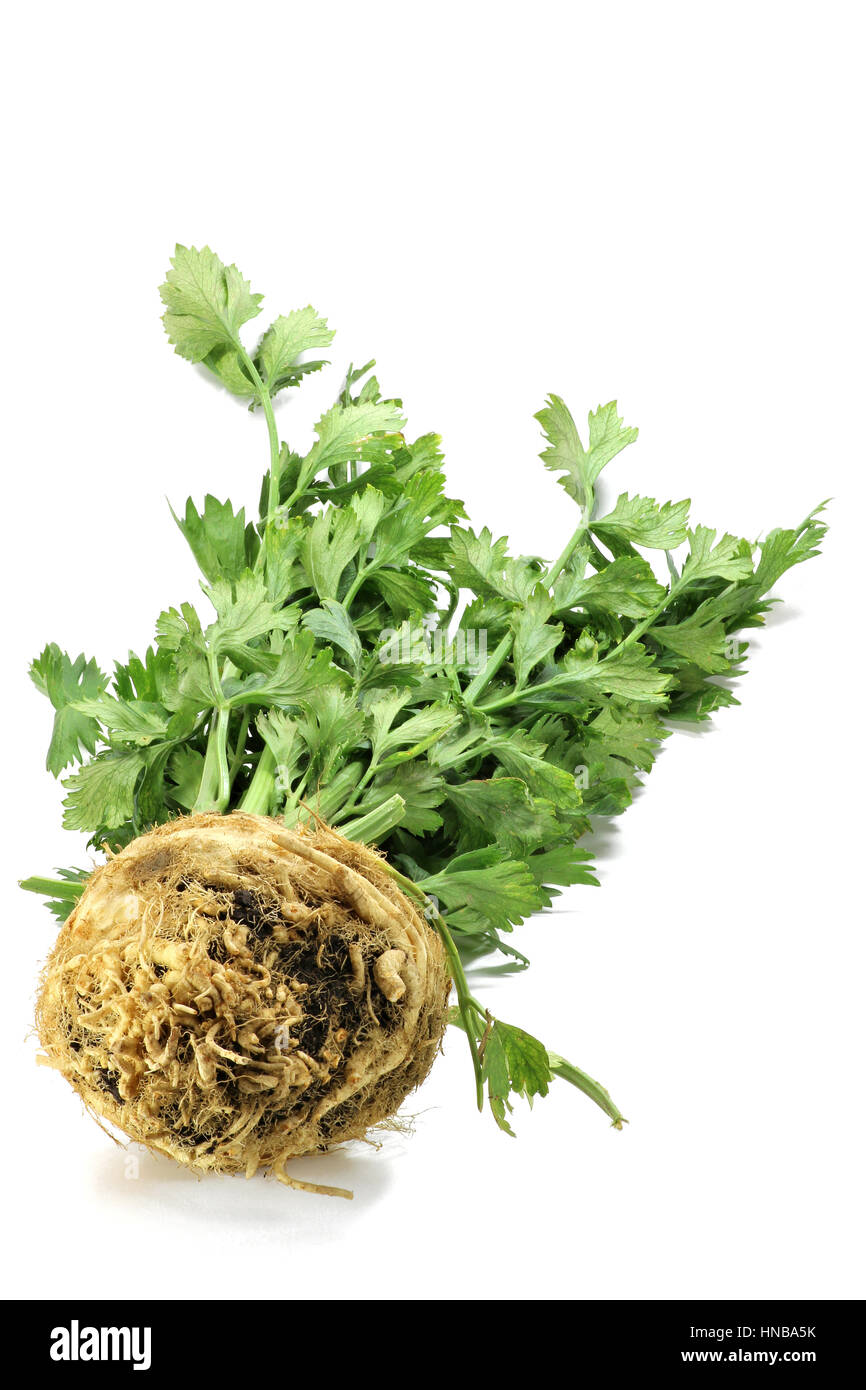 celeriac isolated on white background Stock Photo