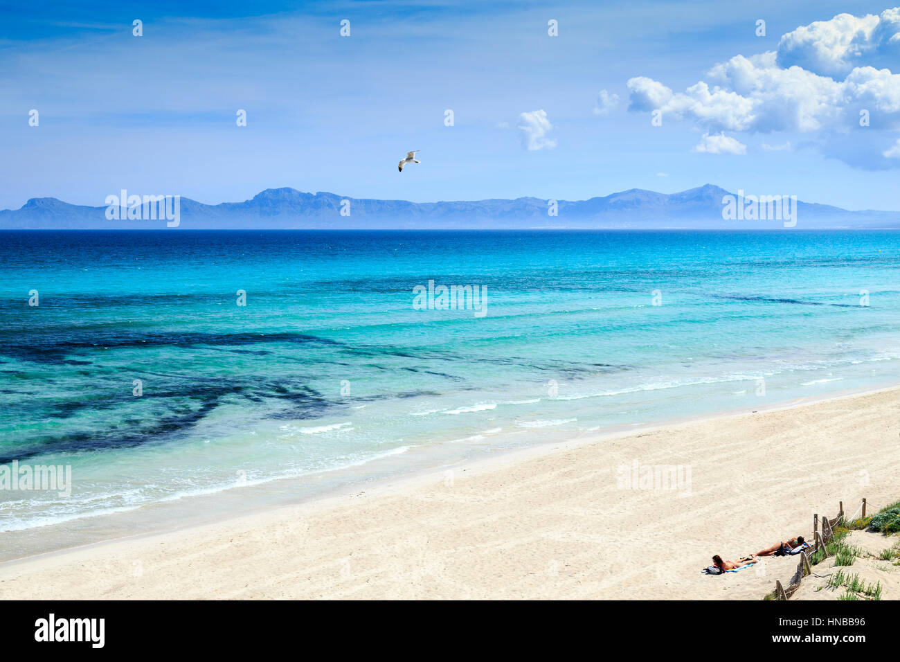 Playa de Muro Beach, Mallorca Stock Photo