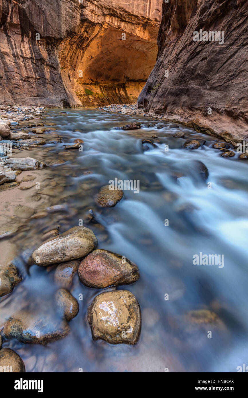 Canyon Glow River Flow, The Virgin River flowing gently in the Narrows
