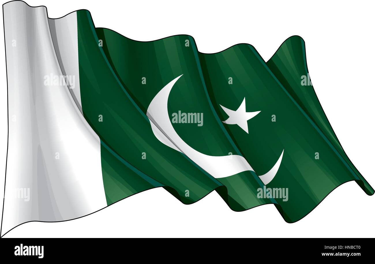 Vector Illustration of a Waving Pakistani Flag. All elements neatly organized. Lines, Shading & Flag Colors on separate layers for easy editing. Stock Vector