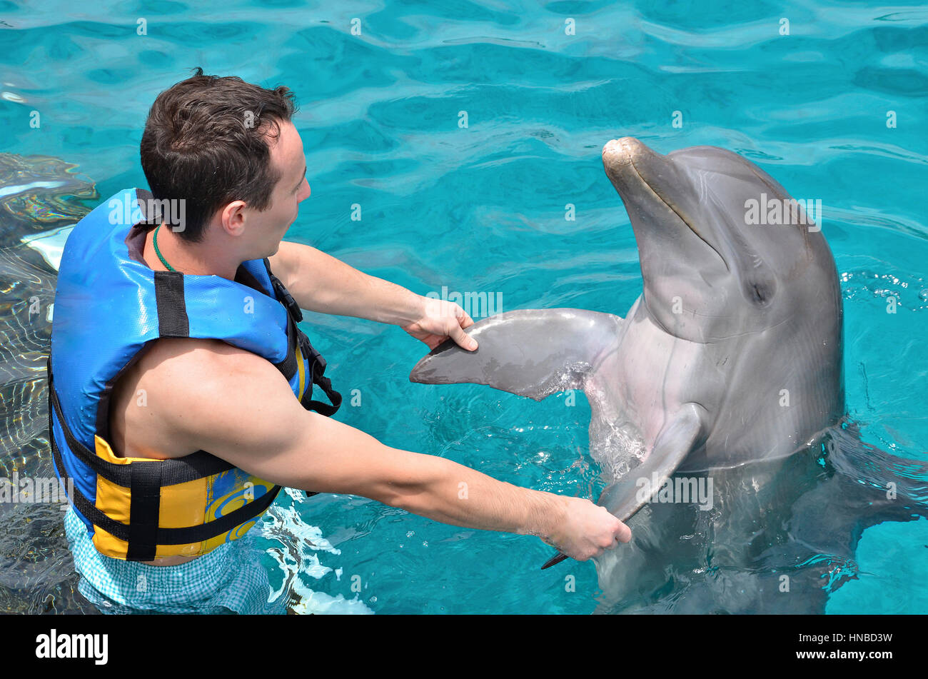 man dancing with dolphin in blue water pool Stock Photo