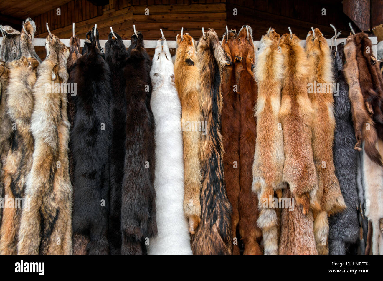 Furs for sale, Tanned hides Stock Photo