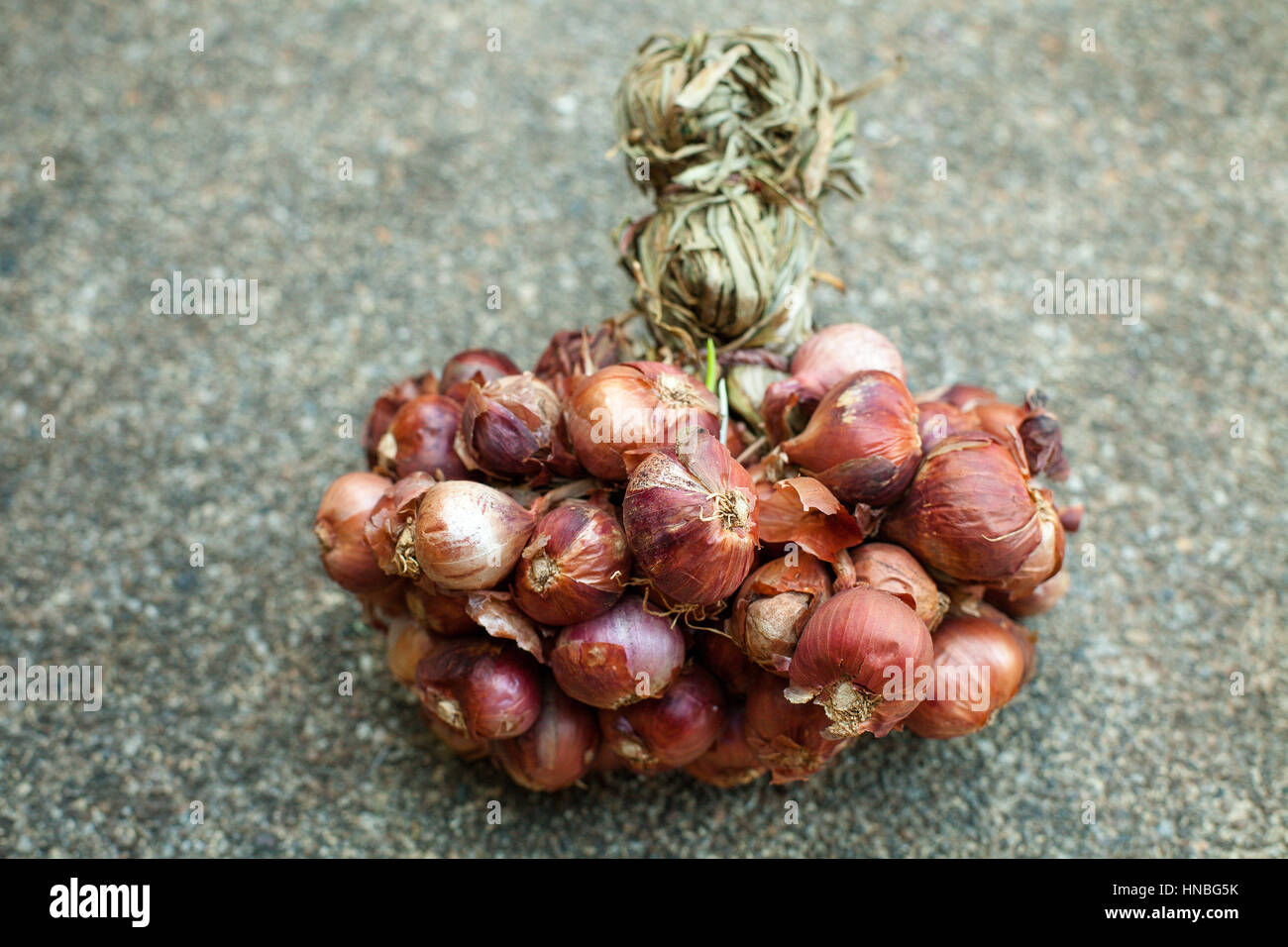 Shallots Fall Fly in Mid Air, Red Fresh Vegetable Spice Shallots Onion  Floating. Organic Fresh Herbal Shallots Root Head Round Stock Photo - Image  of isolated, health: 272136616