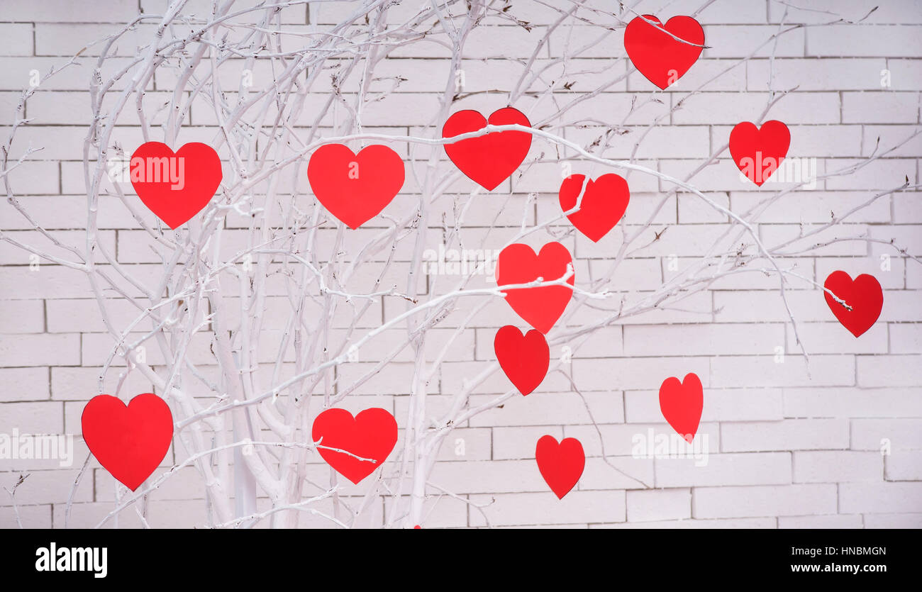 Red hearts on tree branch. Holidays happy valentines day celebration heart love concept. Stock Photo