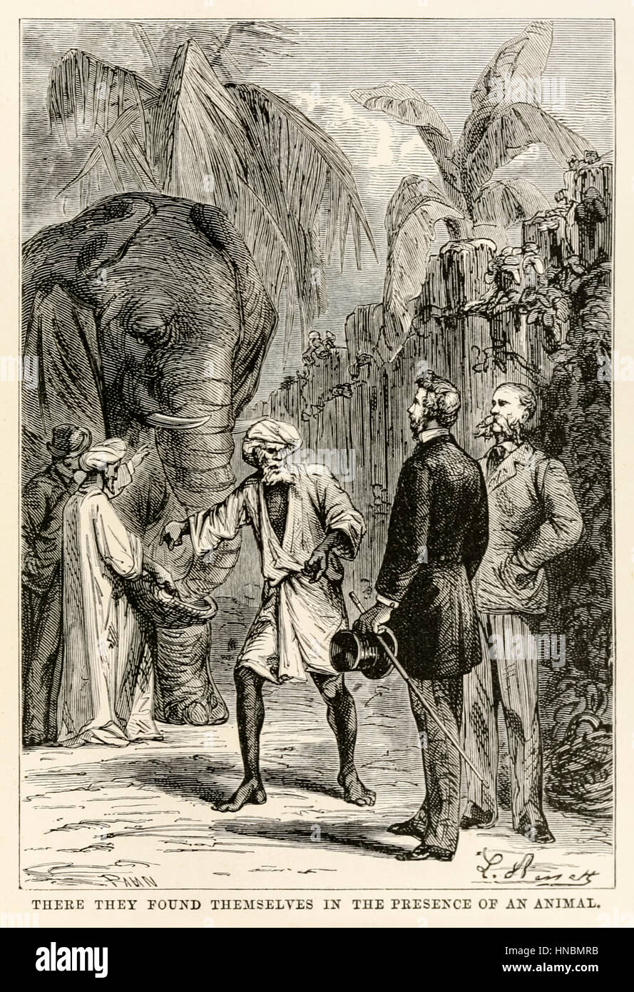 “There they found themselves in the presence of an animal.” from ‘Around the World in Eighty Days’ by Jules Verne (1828-1905) published in 1873 illustration by Léon Benett (1839-1917) and by Adolphe François Pannemaker (1822-1900). Stock Photo