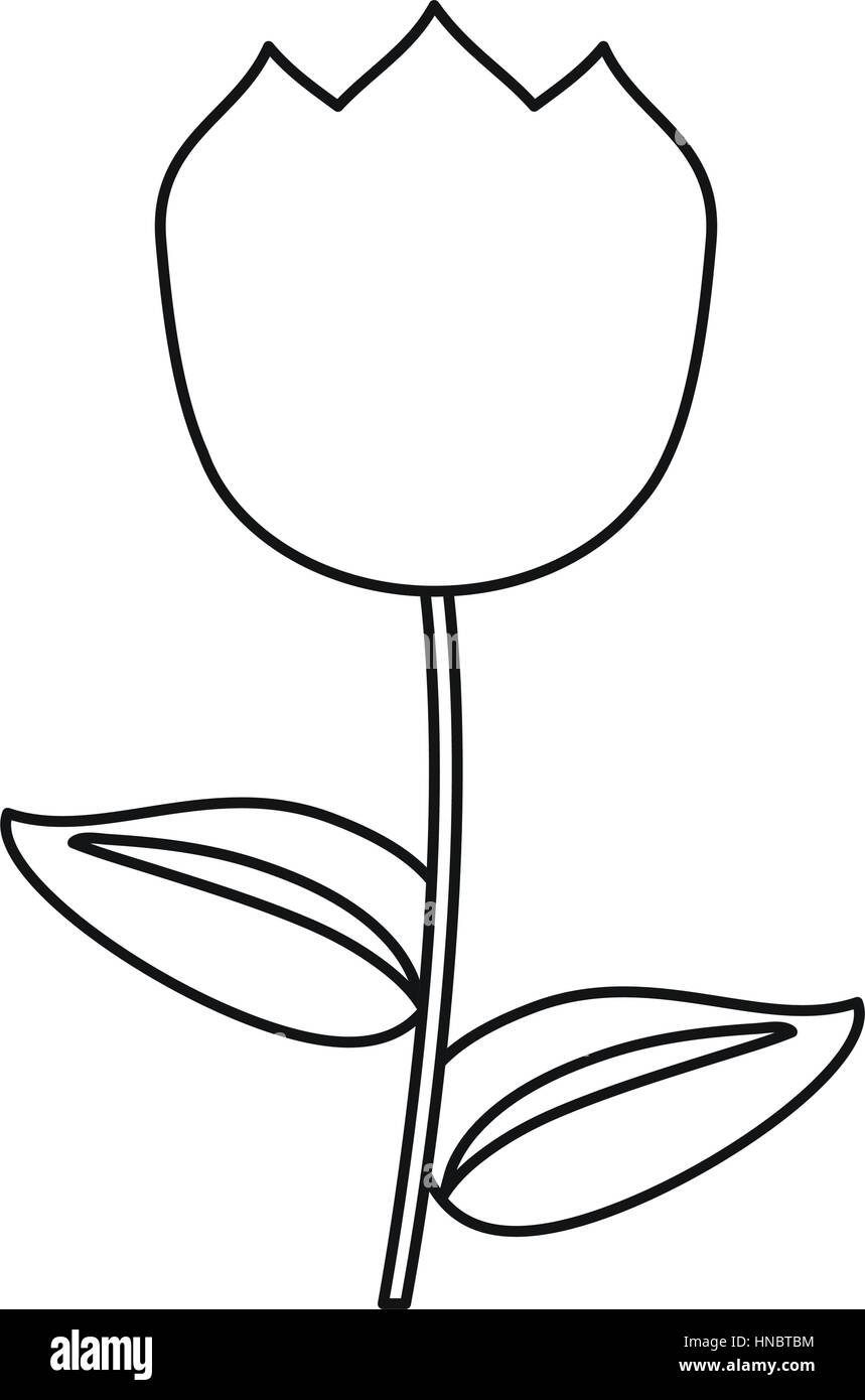 tulip flower decoration easter thin line vector illustration eps 10 ...