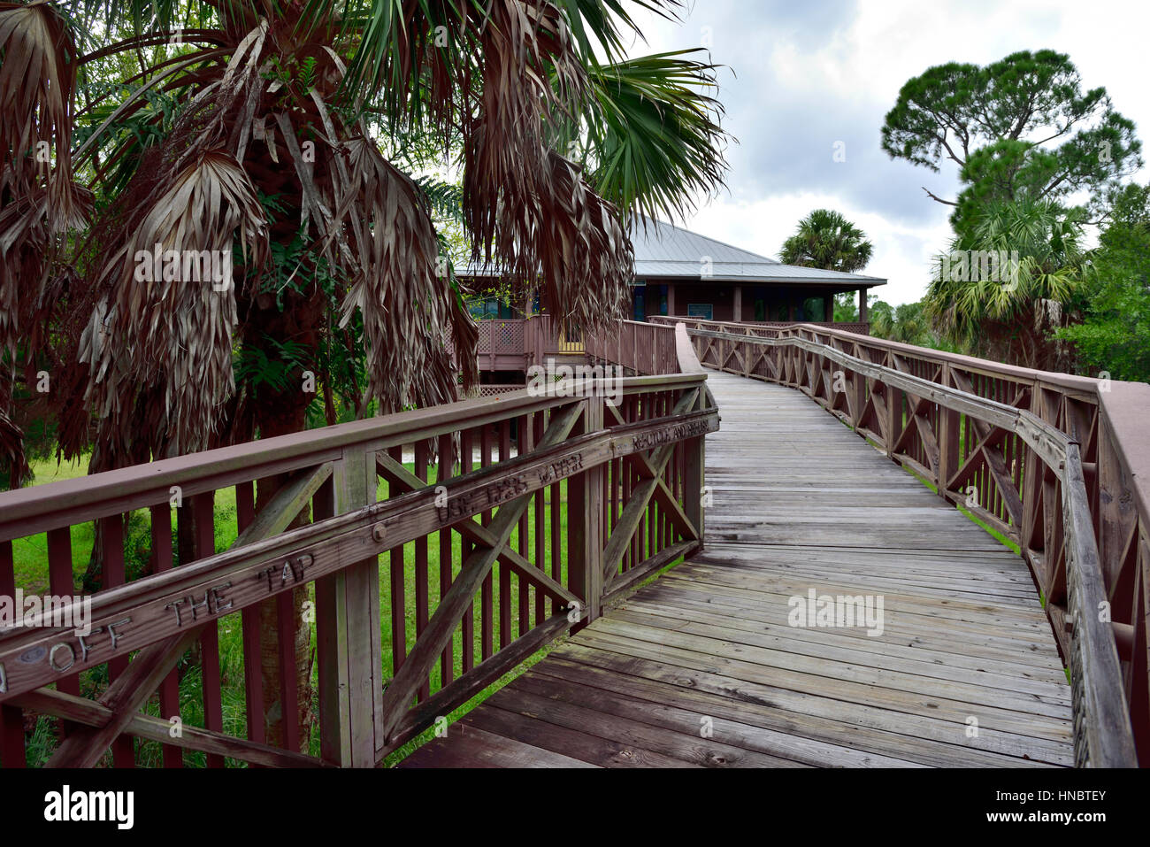 Raised board-walk footpath in Charlotte Harbor Environmental Center, Cape Coral, Florida. Raised to protect from flooding and alligators. Stock Photo