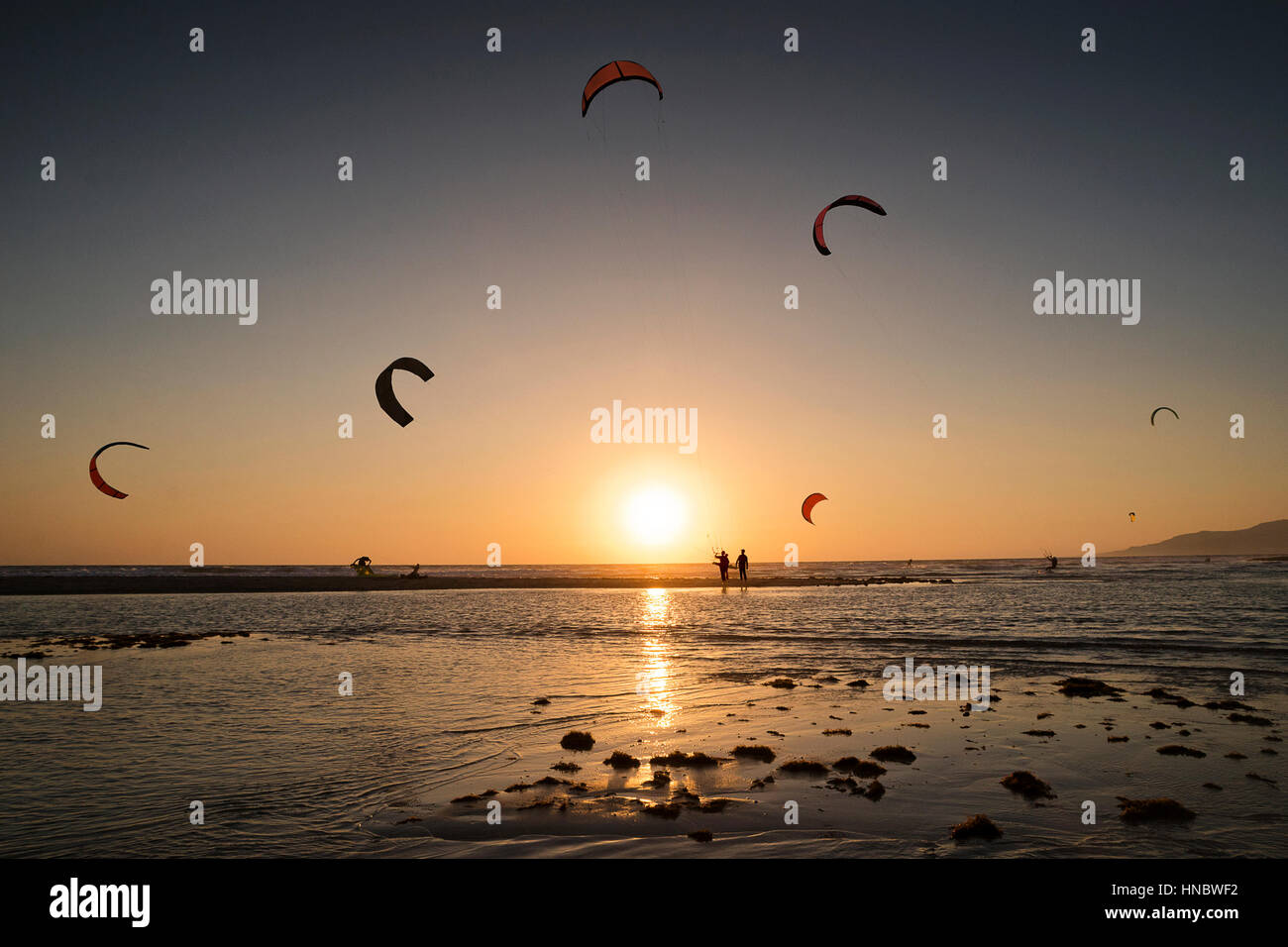 Silhouette of kite surfers at sunset, Los Lances beach, Tarifa, Cadiz