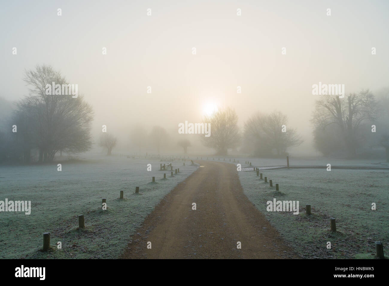 Winter morning in Hatfield Forest, Essex, England, United Kingdom Stock Photo