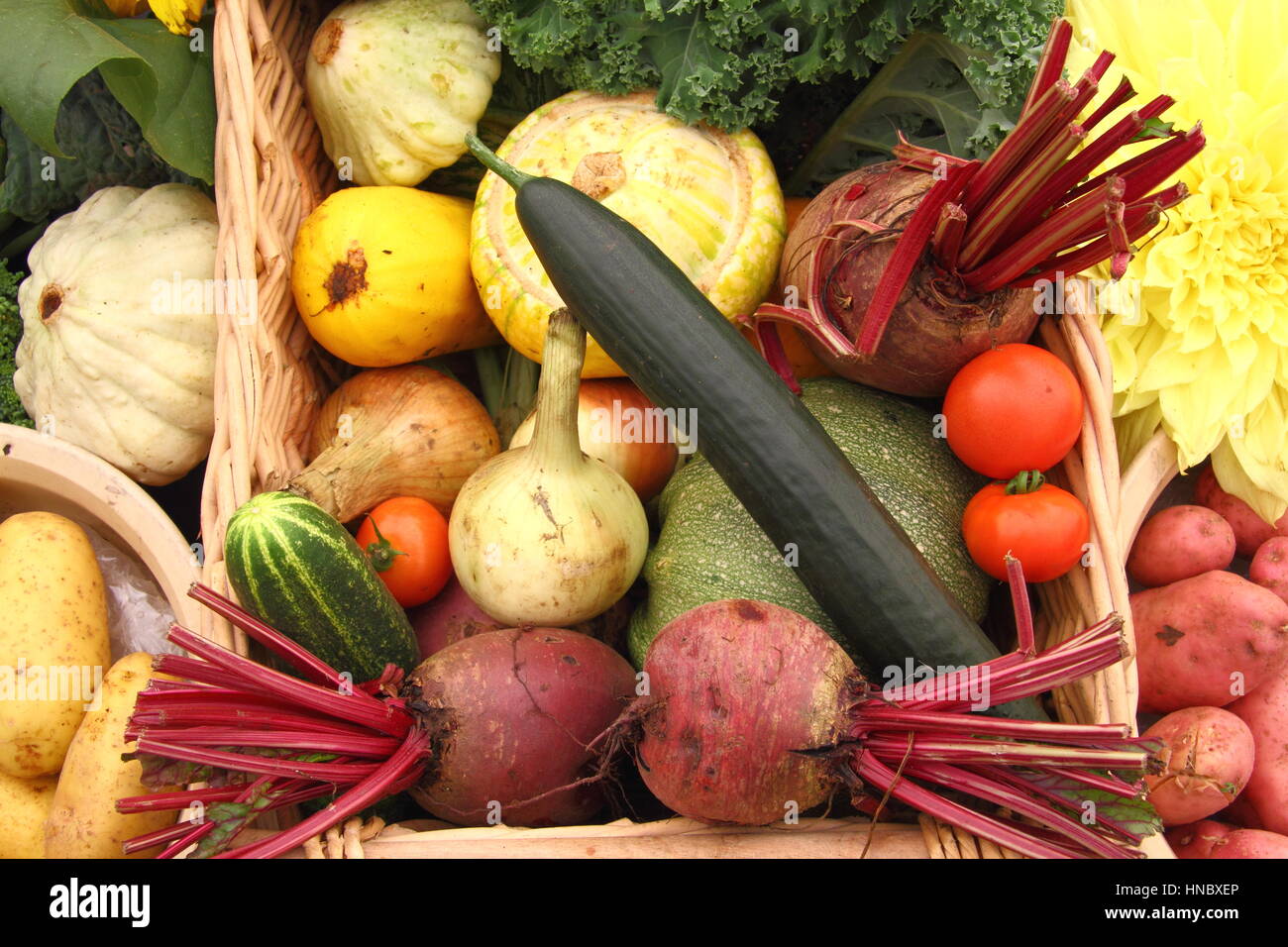 Display fruit vegetables horticultural show hires stock photography and images Alamy