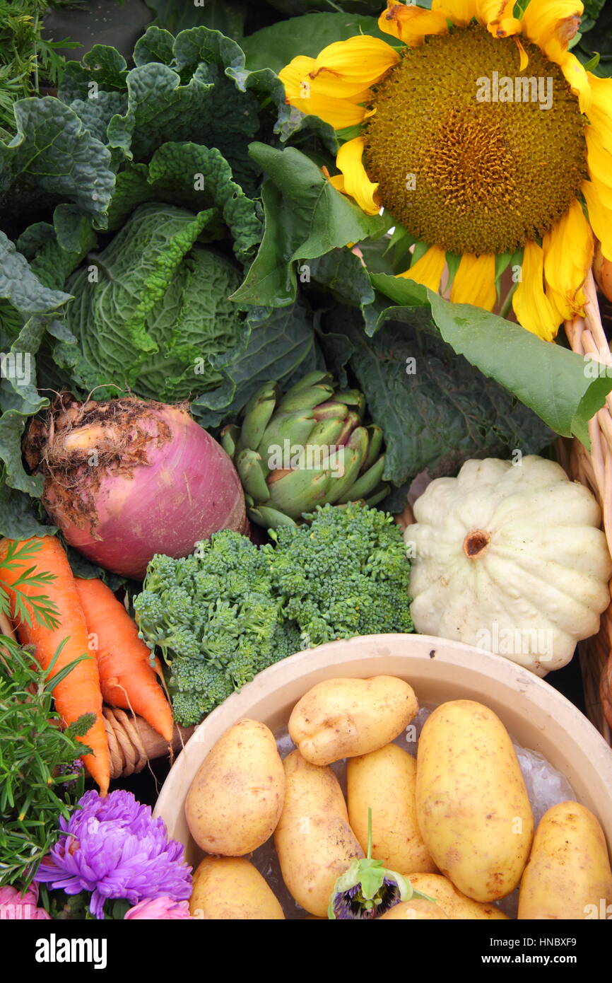 Allotment grown fruits, flowers and vegetables displayed at a traditional horticulture show in