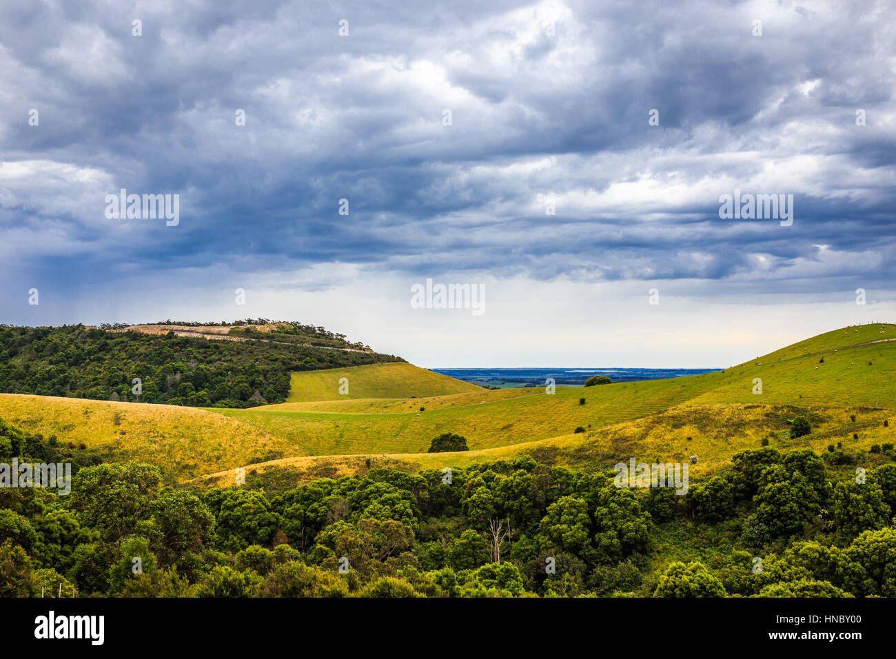 Rolling landscape, Gippsland, Victoria, Australia Stock Photo Alamy