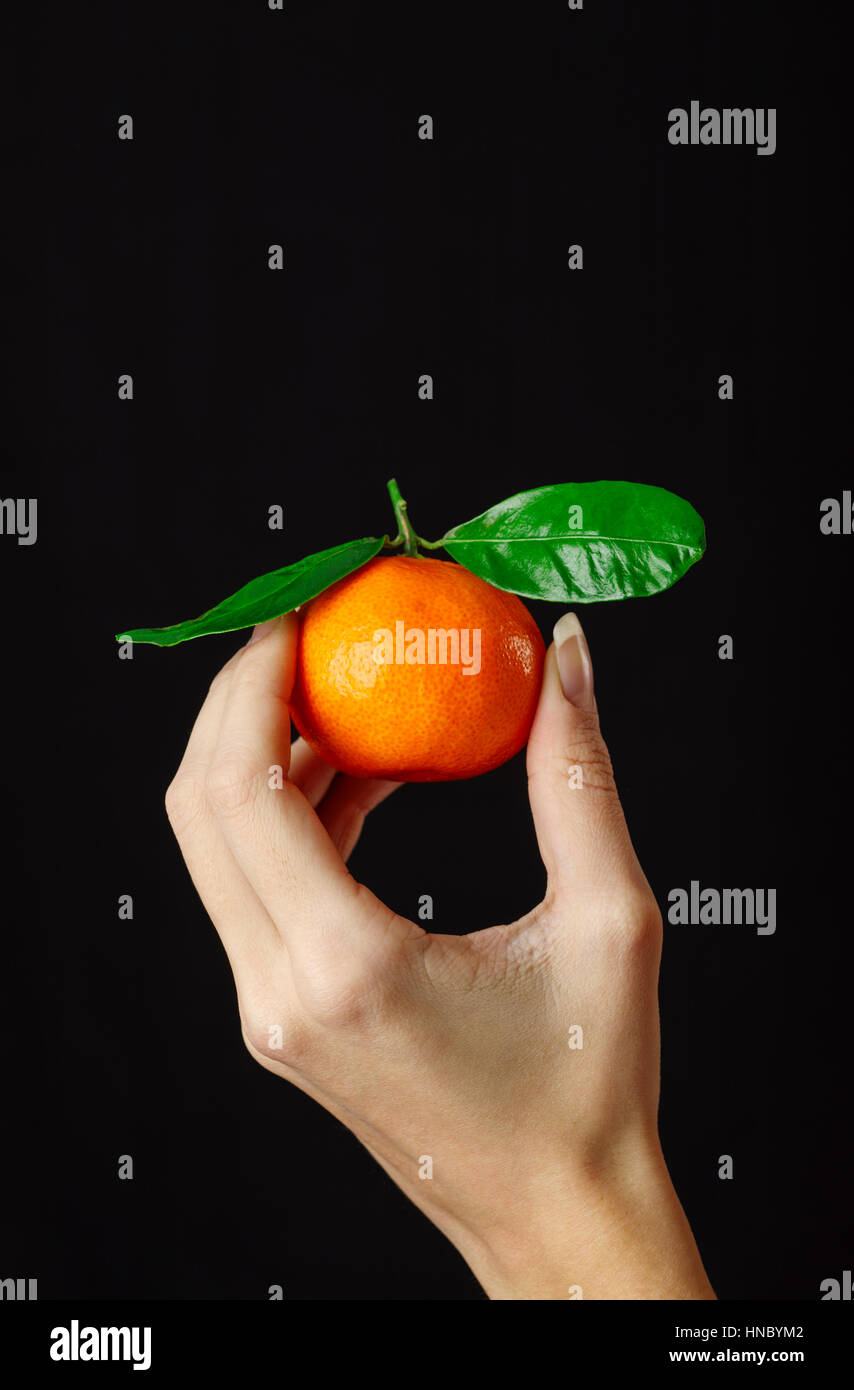 Woman's hand holding a tangerine Stock Photo