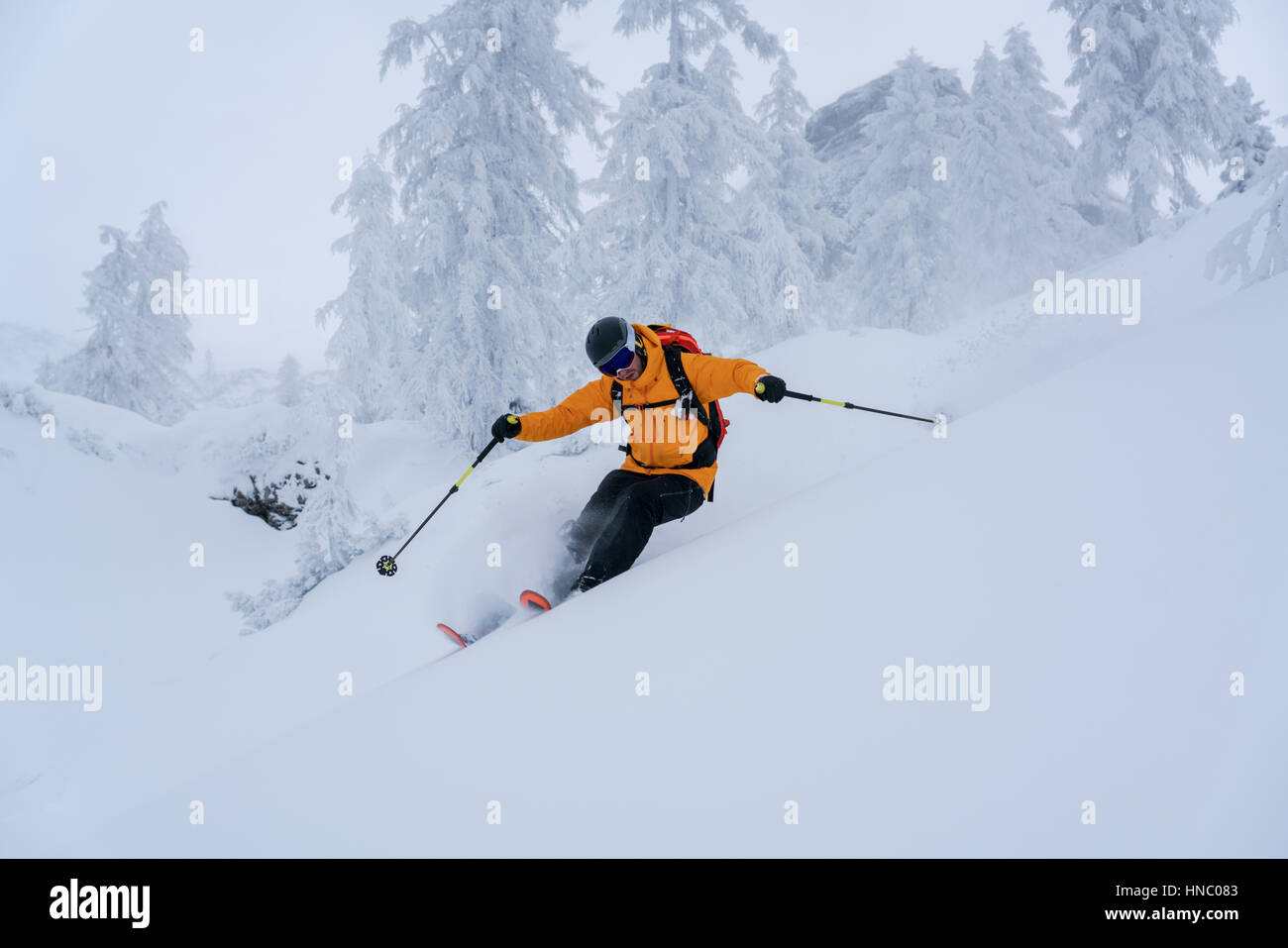 Man skiing in deep powder snow, Krippenstein, Gmunden, Austria Stock Photo